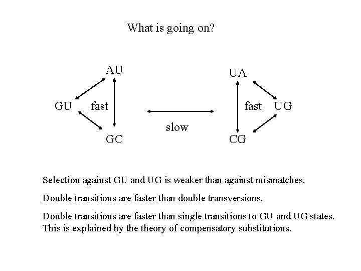 What is going on? AU GU UA fast GC fast slow UG CG Selection