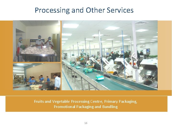 Processing and Other Services Fruits and Vegetable Processing Centre, Primary Packaging, Promotional Packaging and