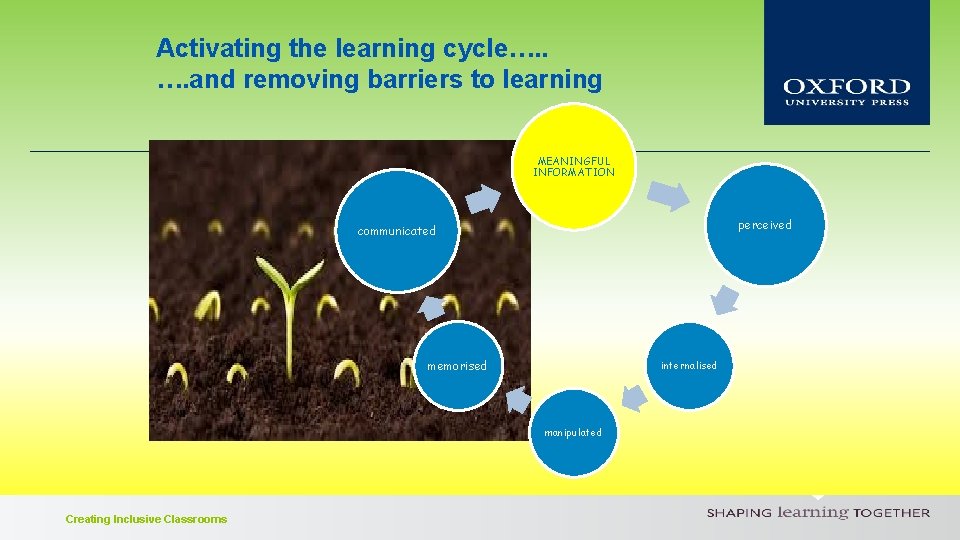 Activating the learning cycle…. . …. and removing barriers to learning MEANINGFUL INFORMATION perceived