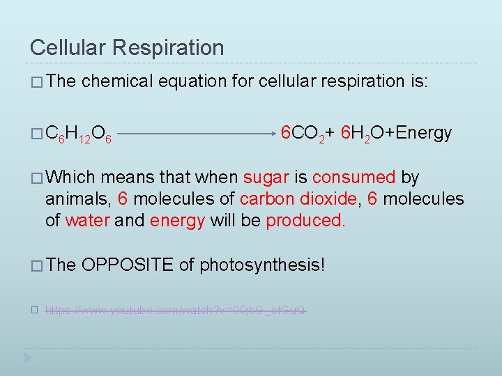 Cellular Respiration � The chemical equation for cellular respiration is: � C 6 H