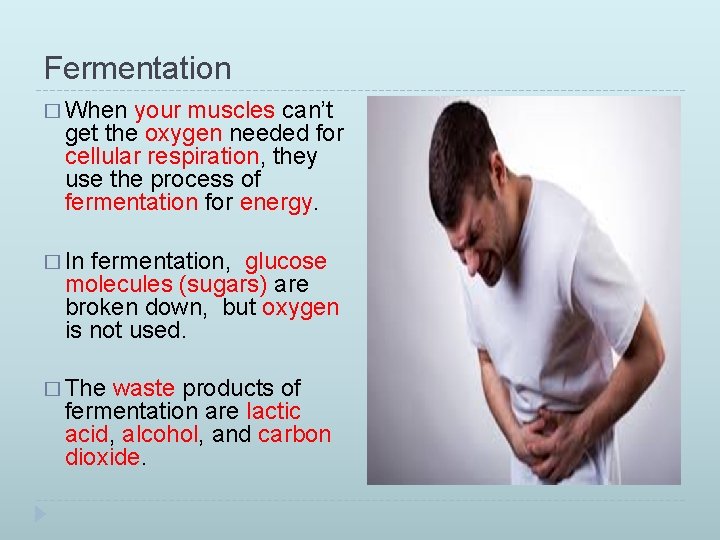Fermentation � When your muscles can’t get the oxygen needed for cellular respiration, they