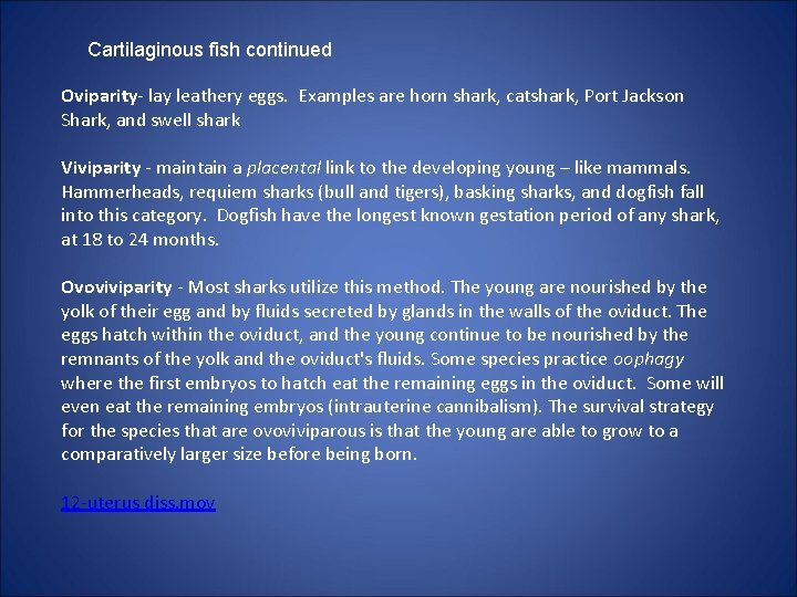 Cartilaginous fish continued Oviparity- lay leathery eggs. Examples are horn shark, catshark, Port Jackson