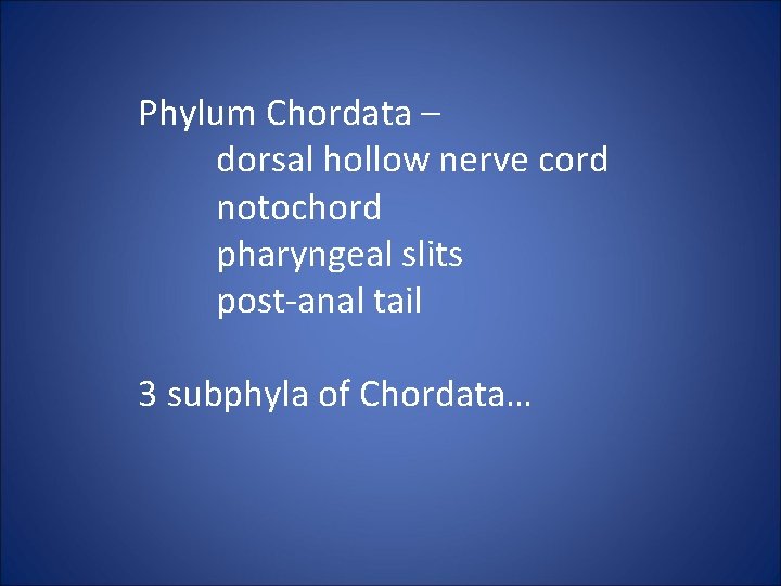 Phylum Chordata – dorsal hollow nerve cord notochord pharyngeal slits post-anal tail 3 subphyla