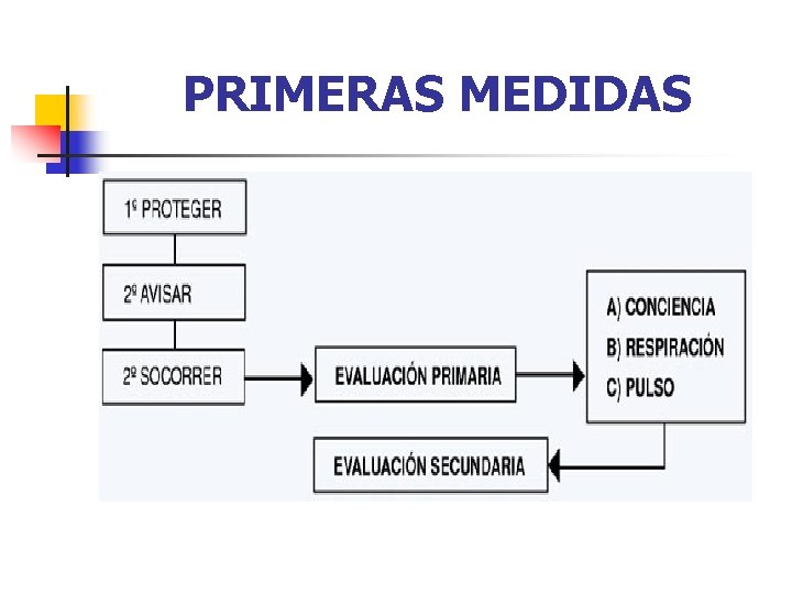 PRIMERAS MEDIDAS 