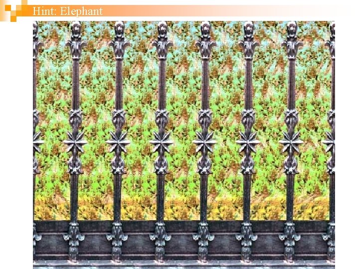 Hint: Elephant 