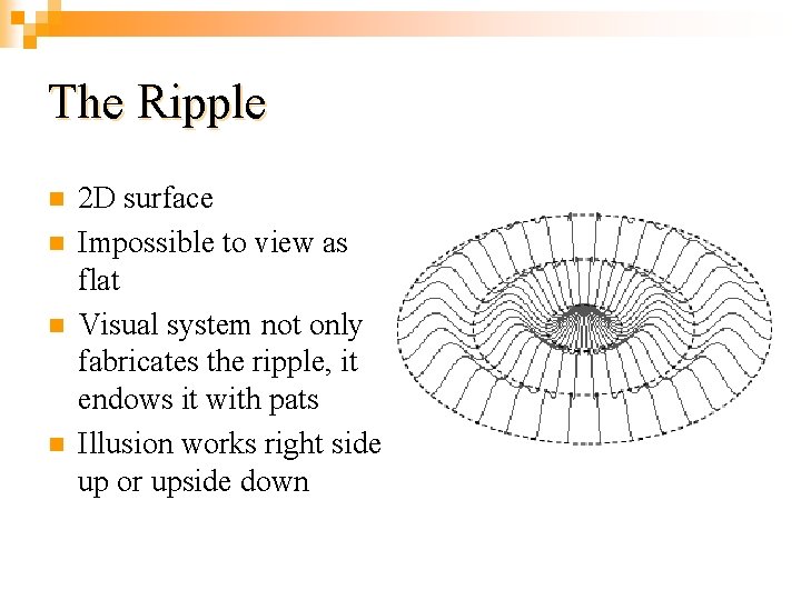 The Ripple n n 2 D surface Impossible to view as flat Visual system