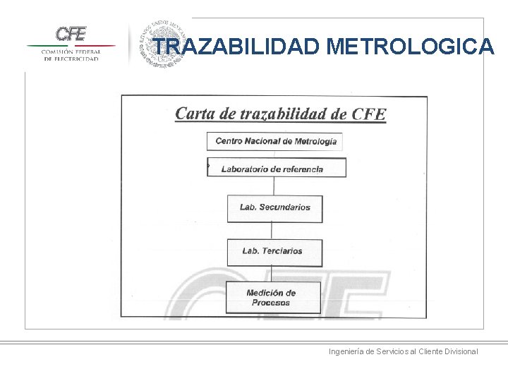 TRAZABILIDAD METROLOGICA Ingeniería de Servicios al Cliente Divisional 