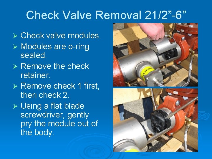 Check Valve Removal 21/2”-6” Check valve modules. Ø Modules are o-ring sealed. Ø Remove