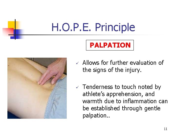 H. O. P. E. Principle PALPATION ü ü Allows for further evaluation of the H. O. P. E. Principle PALPATION ü ü Allows for further evaluation of the