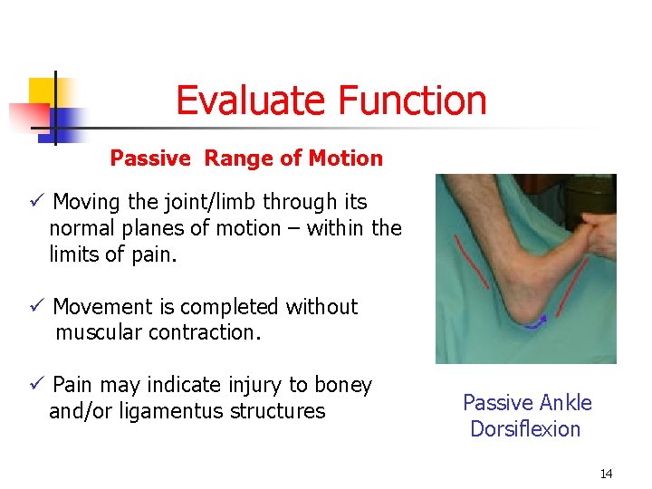 Evaluate Function Passive Range of Motion ü Moving the joint/limb through its normal planes