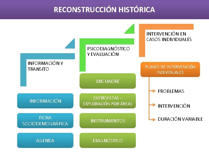 RECONSTRUCCIÓN HISTÓRICA INTERVENCIÓN EN CASOS INDIVIDUALES PSICODIAGNÓSTICO Y EVALUACIÓN INFORMACIÓN Y TRANSITO PLANES DE