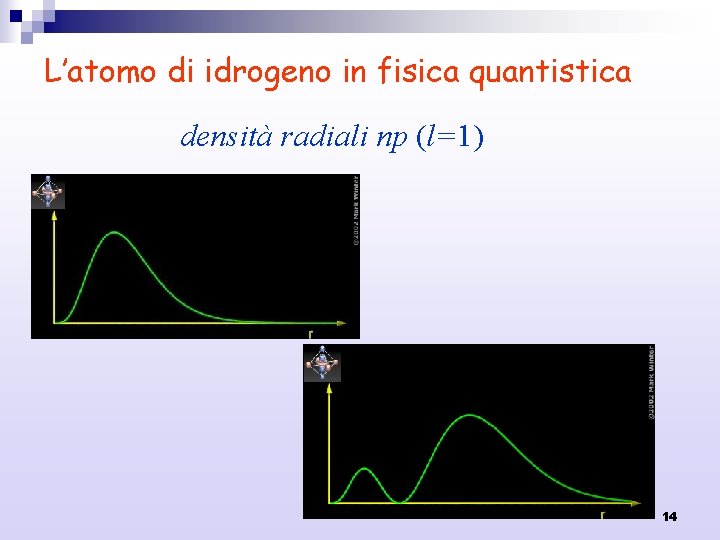 L’atomo di idrogeno in fisica quantistica densità radiali np (l=1) 14 