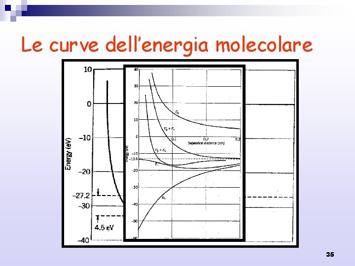 Le curve dell’energia molecolare 35 