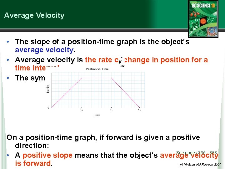 Average Velocity • The slope of a position-time graph is the object’s average velocity.