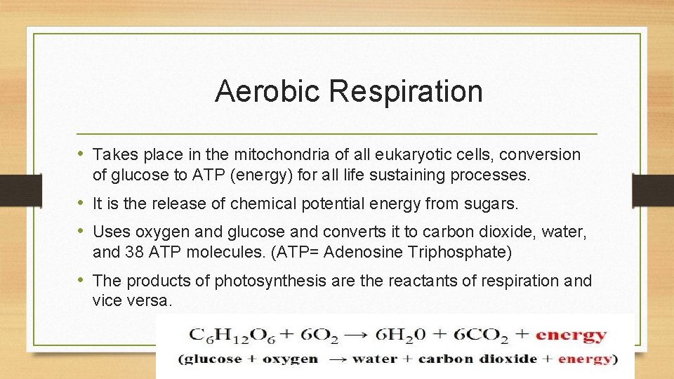 Aerobic Respiration • Takes place in the mitochondria of all eukaryotic cells, conversion of