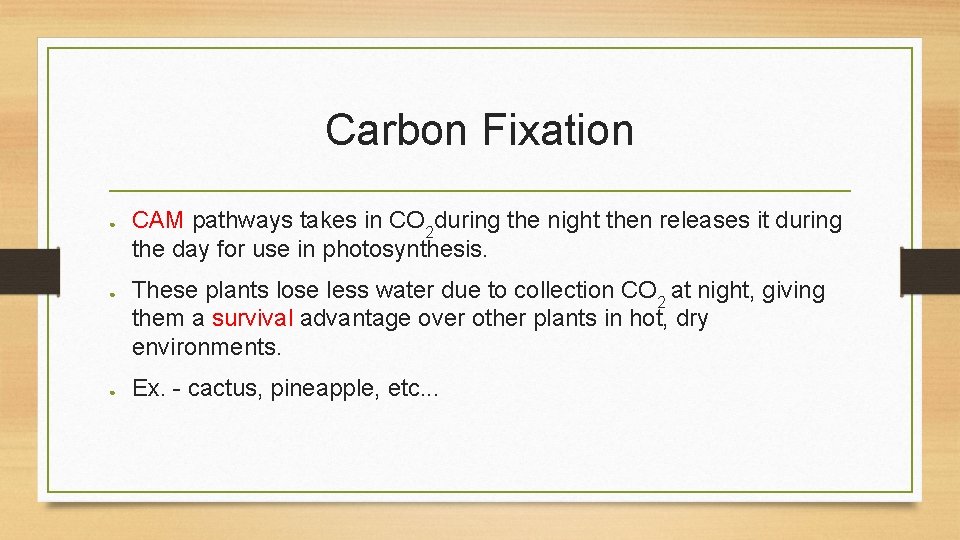 Carbon Fixation ● ● ● CAM pathways takes in CO 2 during the night