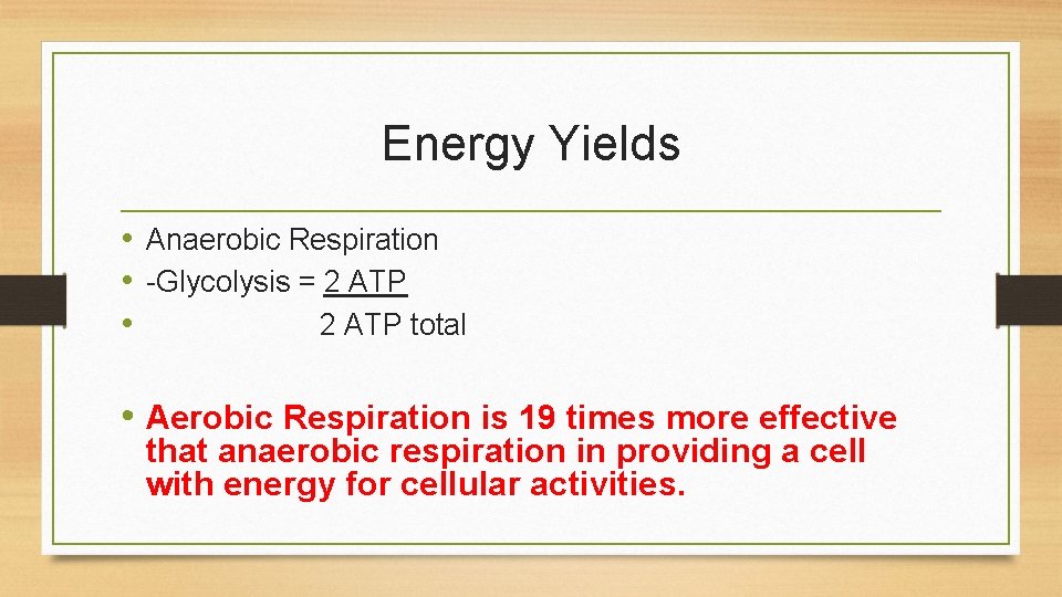 Energy Yields • Anaerobic Respiration • -Glycolysis = 2 ATP • 2 ATP total