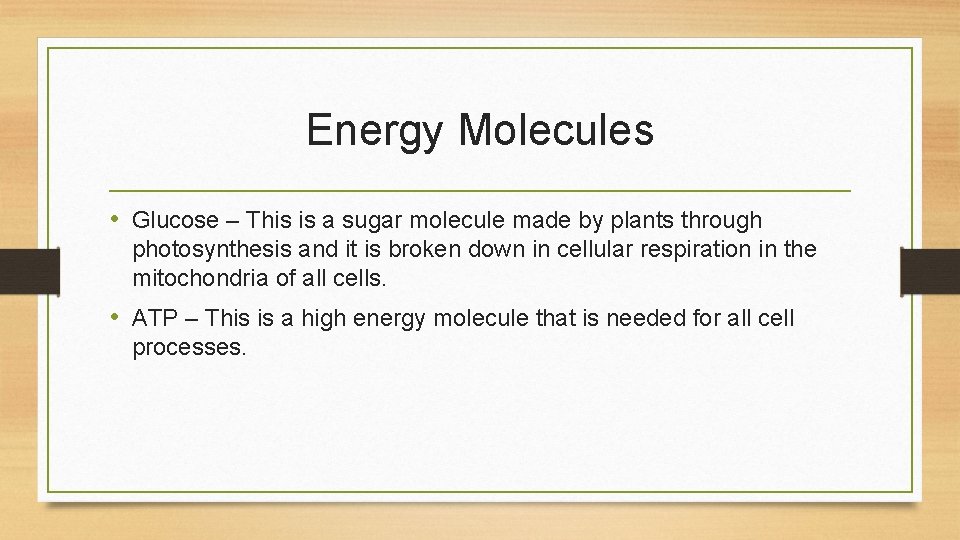 Energy Molecules • Glucose – This is a sugar molecule made by plants through