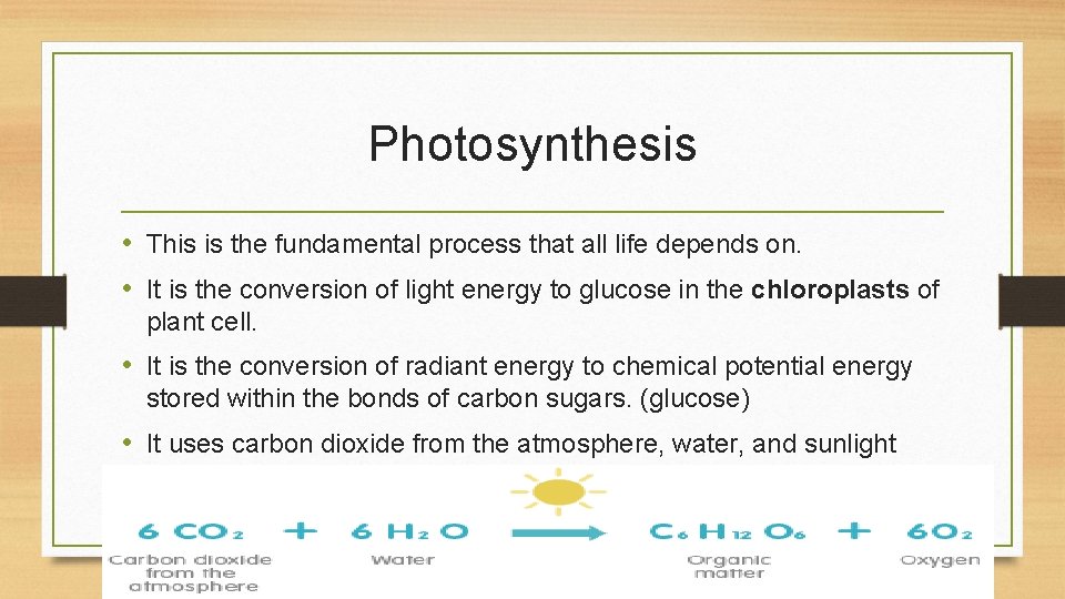 Photosynthesis • This is the fundamental process that all life depends on. • It