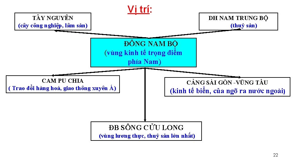 Vị trí: T Y NGUYÊN (cây công nghiệp, lâm sản) DH NAM TRUNG BỘ