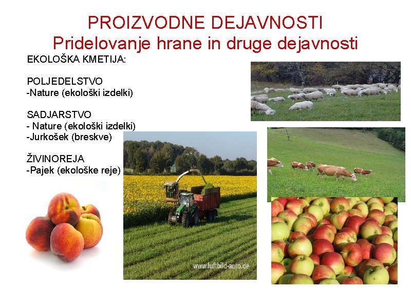 PROIZVODNE DEJAVNOSTI Pridelovanje hrane in druge dejavnosti EKOLOŠKA KMETIJA: POLJEDELSTVO -Nature (ekološki izdelki) SADJARSTVO