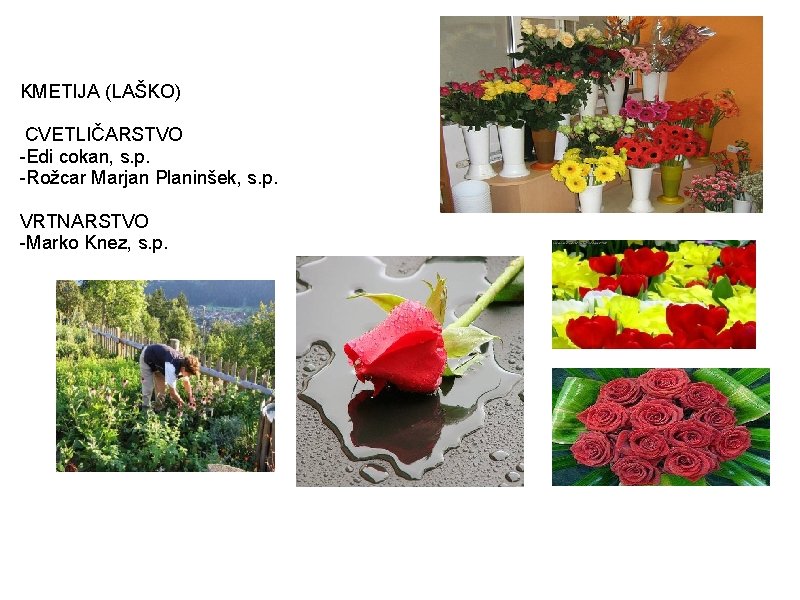KMETIJA (LAŠKO) CVETLIČARSTVO -Edi cokan, s. p. -Rožcar Marjan Planinšek, s. p. VRTNARSTVO -Marko