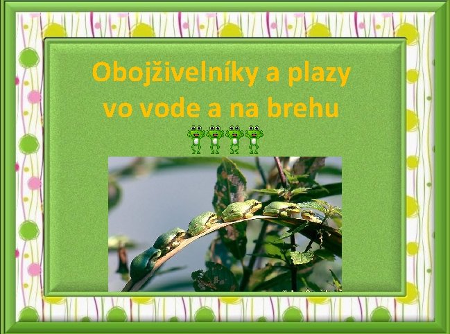 Obojživelníky a plazy vo vode a na brehu 