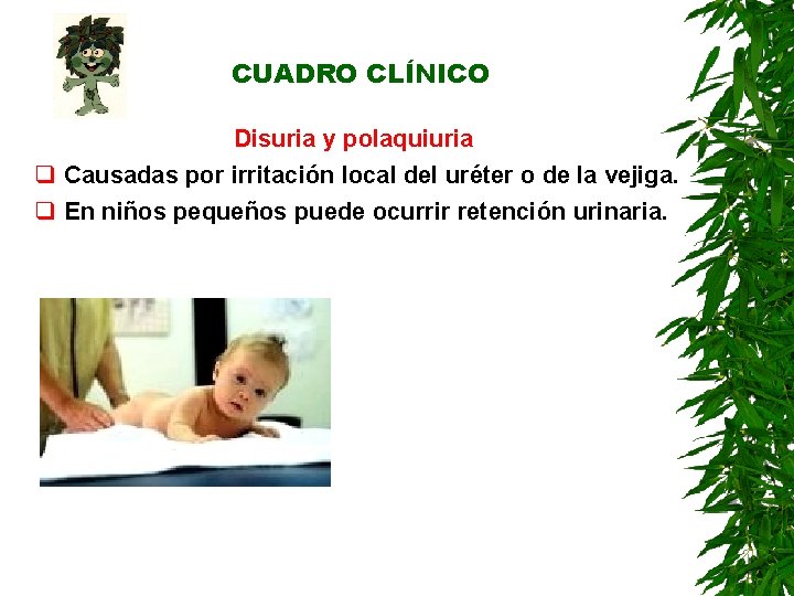 CUADRO CLÍNICO Disuria y polaquiuria q Causadas por irritación local del uréter o de CUADRO CLÍNICO Disuria y polaquiuria q Causadas por irritación local del uréter o de