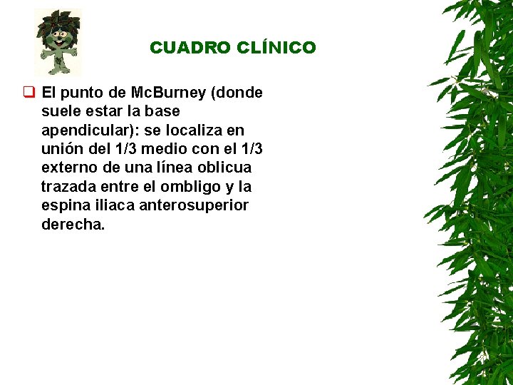 CUADRO CLÍNICO q El punto de Mc. Burney (donde suele estar la base apendicular): CUADRO CLÍNICO q El punto de Mc. Burney (donde suele estar la base apendicular):
