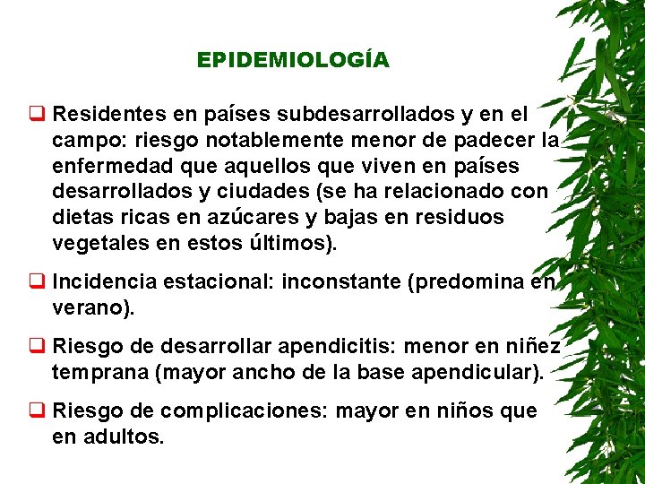 EPIDEMIOLOGÍA q Residentes en países subdesarrollados y en el campo: riesgo notablemente menor de EPIDEMIOLOGÍA q Residentes en países subdesarrollados y en el campo: riesgo notablemente menor de