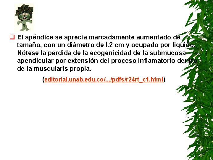 q El apéndice se aprecia marcadamente aumentado de tamaño, con un diámetro de l. q El apéndice se aprecia marcadamente aumentado de tamaño, con un diámetro de l.