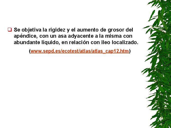q Se objetiva la rigidez y el aumento de grosor del apéndice, con un q Se objetiva la rigidez y el aumento de grosor del apéndice, con un