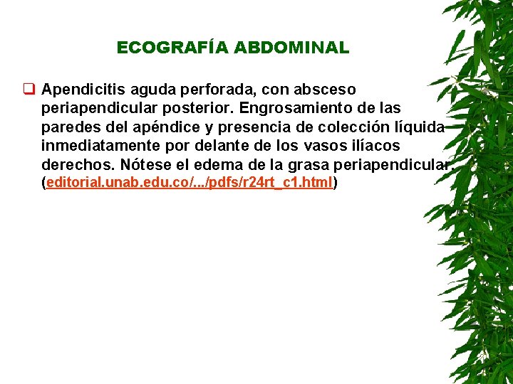 ECOGRAFÍA ABDOMINAL q Apendicitis aguda perforada, con absceso periapendicular posterior. Engrosamiento de las paredes ECOGRAFÍA ABDOMINAL q Apendicitis aguda perforada, con absceso periapendicular posterior. Engrosamiento de las paredes