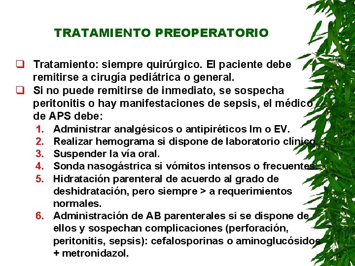 TRATAMIENTO PREOPERATORIO q Tratamiento: siempre quirúrgico. El paciente debe remitirse a cirugía pediátrica o TRATAMIENTO PREOPERATORIO q Tratamiento: siempre quirúrgico. El paciente debe remitirse a cirugía pediátrica o