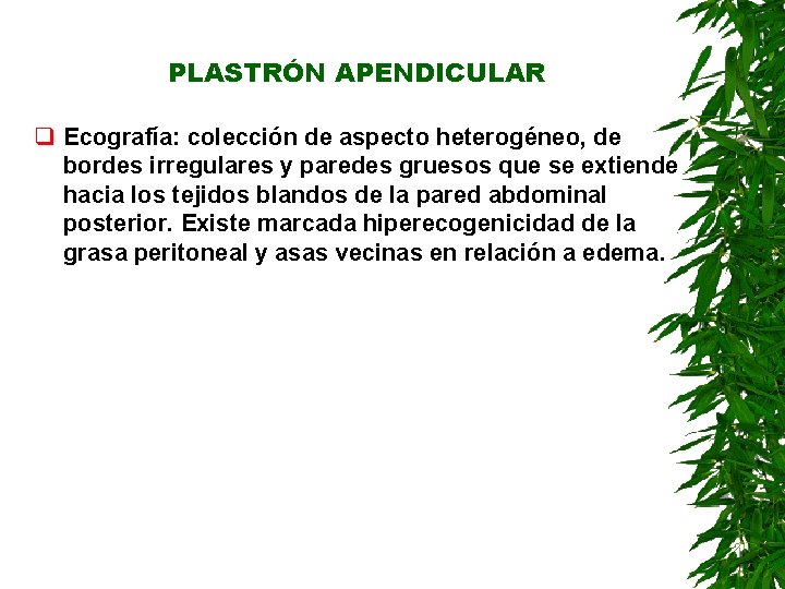 PLASTRÓN APENDICULAR q Ecografía: colección de aspecto heterogéneo, de bordes irregulares y paredes gruesos PLASTRÓN APENDICULAR q Ecografía: colección de aspecto heterogéneo, de bordes irregulares y paredes gruesos