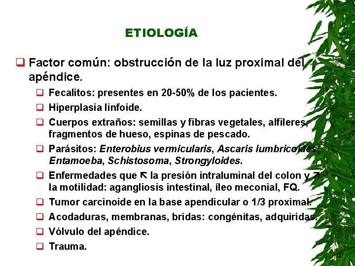 ETIOLOGÍA q Factor común: obstrucción de la luz proximal del apéndice. q Fecalitos: presentes ETIOLOGÍA q Factor común: obstrucción de la luz proximal del apéndice. q Fecalitos: presentes
