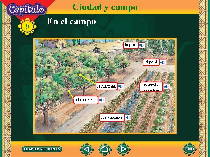 Ciudad y campo 9 En el campo la pera el peral la manzana el