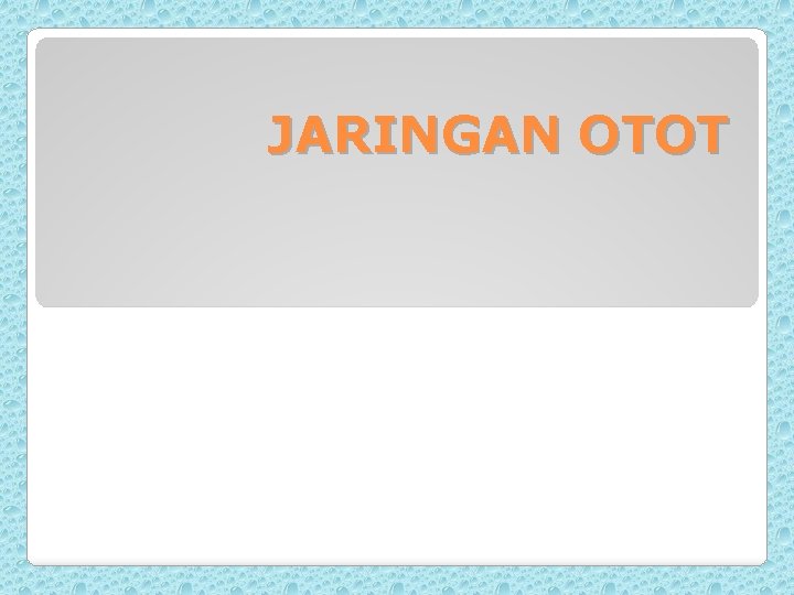 JARINGAN OTOT 