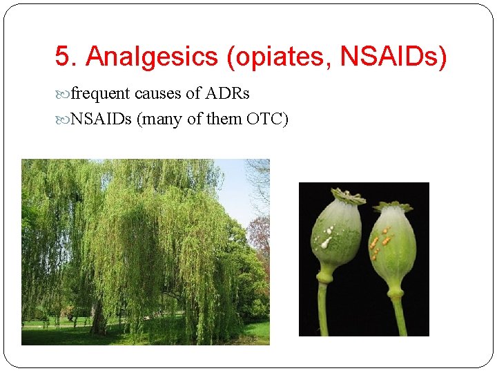 5. Analgesics (opiates, NSAIDs) frequent causes of ADRs NSAIDs (many of them OTC) 