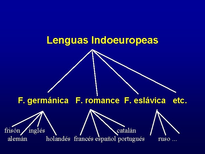 Lenguas Indoeuropeas F. germánica F. romance F. eslávica etc. frisón inglés catalán alemán holandés