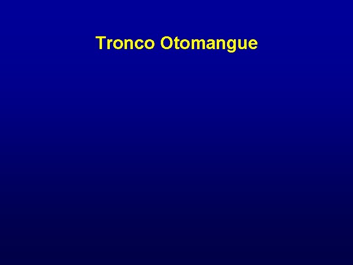 Tronco Otomangue 