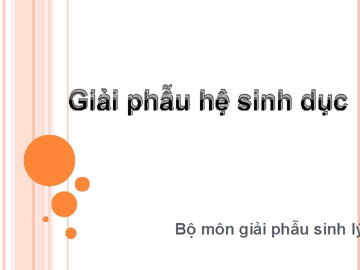 Giải phẫu hệ sinh dục Bộ môn giải phẫu sinh lý 