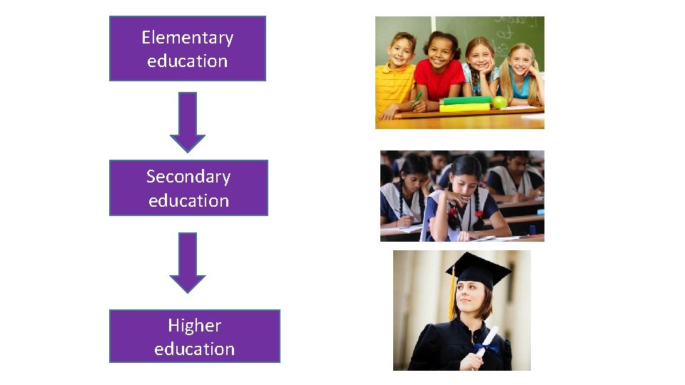 Elementary education Secondary education Higher education 