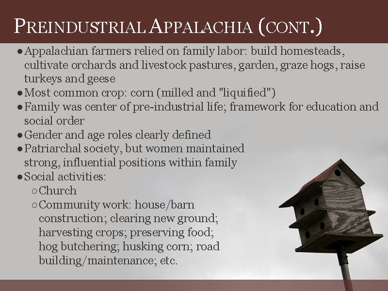 PREINDUSTRIAL APPALACHIA (CONT. ) ●Appalachian farmers relied on family labor: build homesteads, cultivate orchards