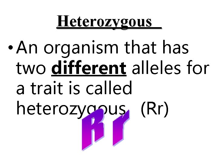 Heterozygous • An organism that has two different alleles for a trait is called