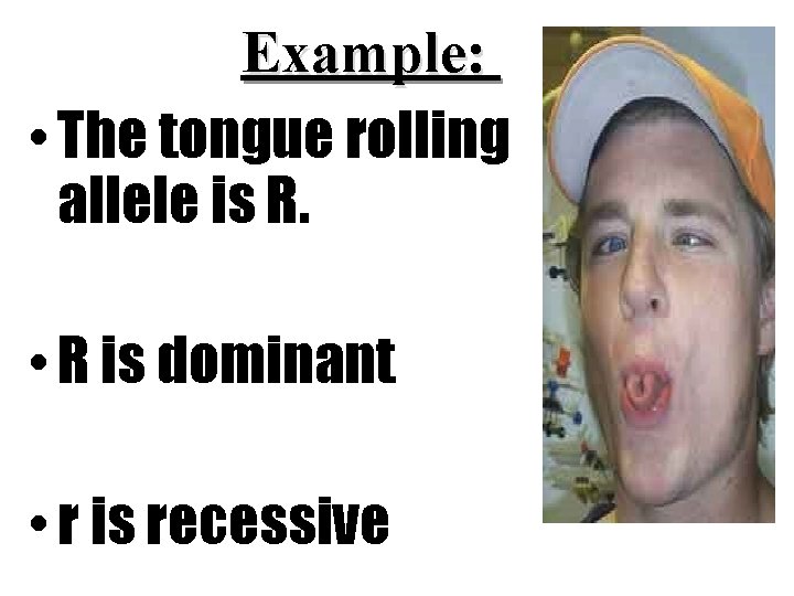 Example: • The tongue rolling allele is R. • R is dominant • r