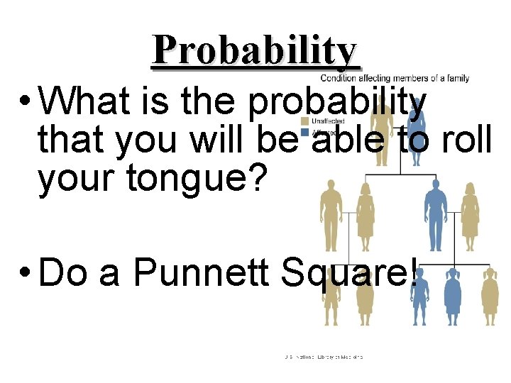 Probability • What is the probability that you will be able to roll your