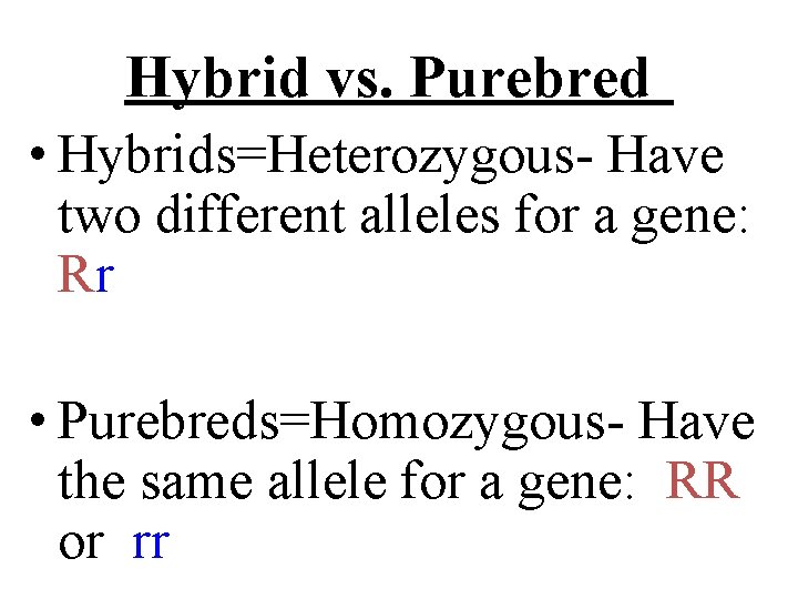Hybrid vs. Purebred • Hybrids=Heterozygous- Have two different alleles for a gene: Rr •