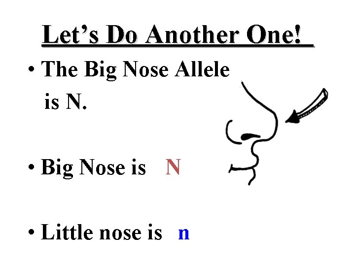 Let’s Do Another One! • The Big Nose Allele is N. • Big Nose