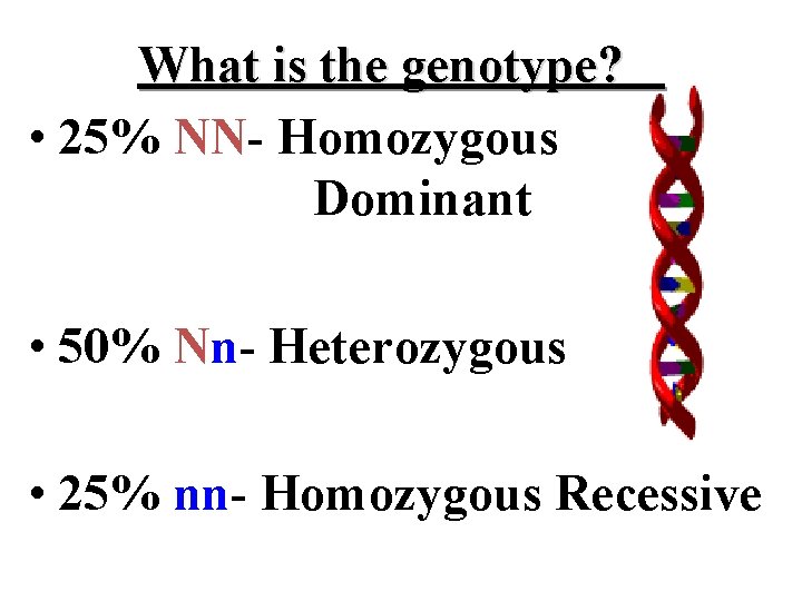 What is the genotype? • 25% NN- Homozygous Dominant • 50% Nn- Heterozygous •